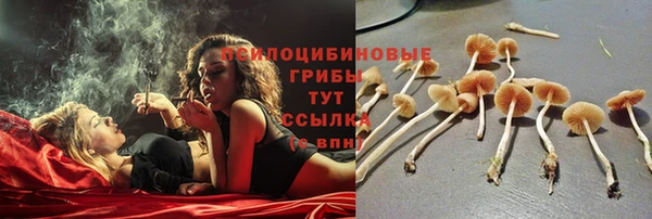 спайс Богданович