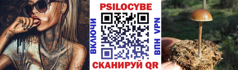 дарнет шоп  Дзержинский  KRAKEN сайт  Галлюциногенные грибы прущие грибы 